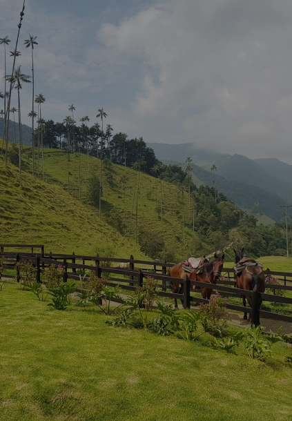 Grüne Landschaft in Südamerika