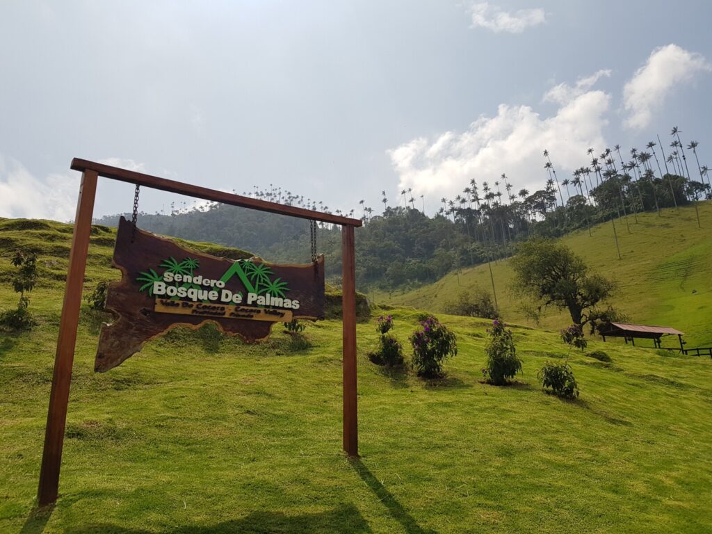 Grüne Landschaft in Südamerika