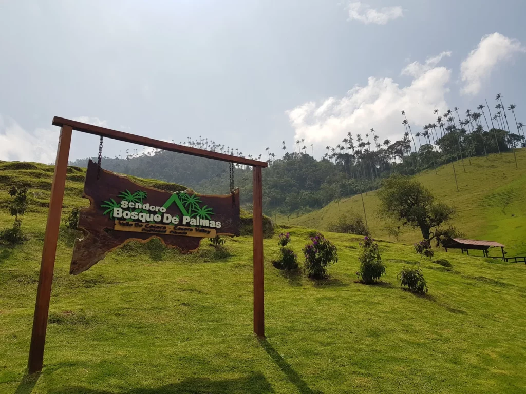 Grüne Landschaft Südamerika