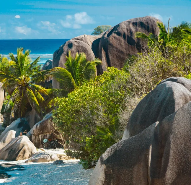 Strand, Palmen, Felsen und Meerblick